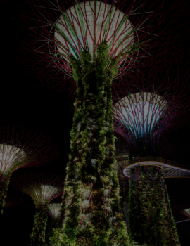 Visit in Singapore