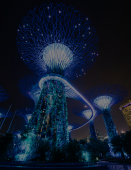 Singapore Travel Guide